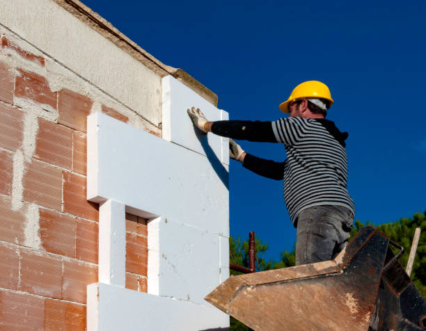 Best Wall Insulation Contractor  in Republic, MO