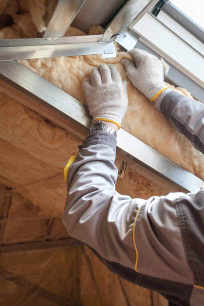 Best Commercial Insulation Contractor  in Republic, MO