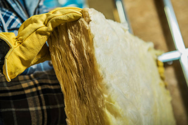 Best Home Insulation Services  in Republic, MO