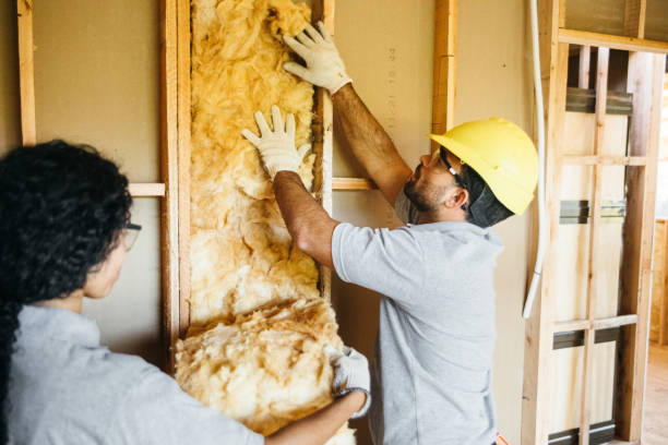 Best Local Insulation Services  in Republic, MO