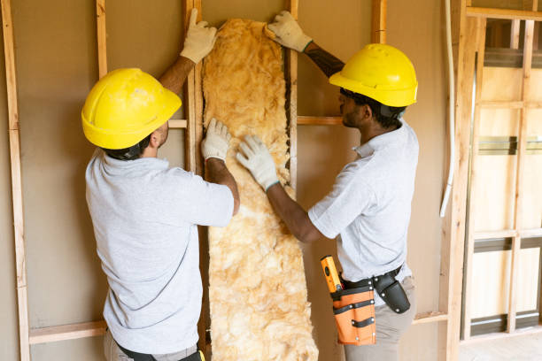 Best Insulation Repair Services  in Republic, MO