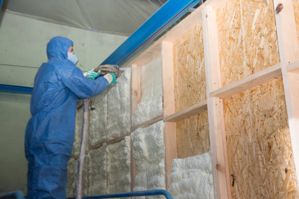Best Insulation Inspection Services  in Republic, MO