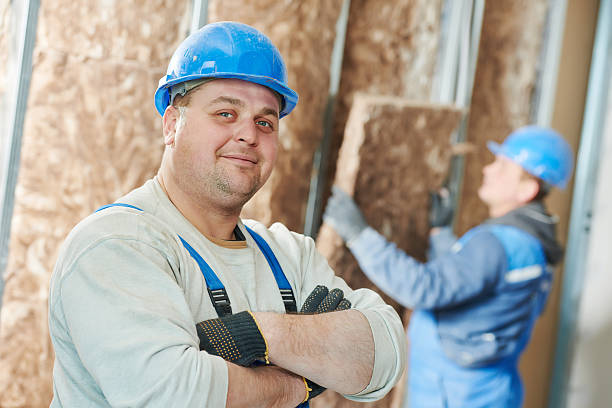 Best Insulation Removal Services  in Republic, MO