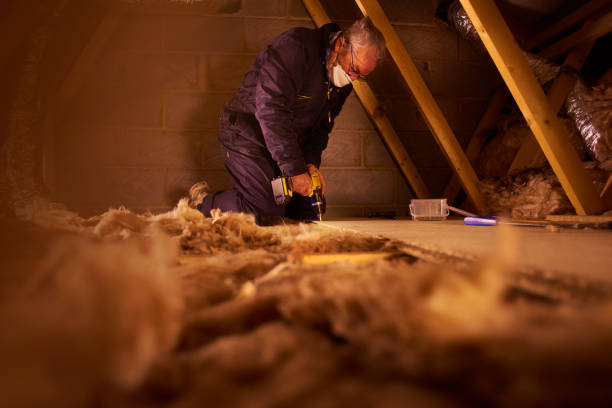 Best Affordable Insulation Services  in Republic, MO