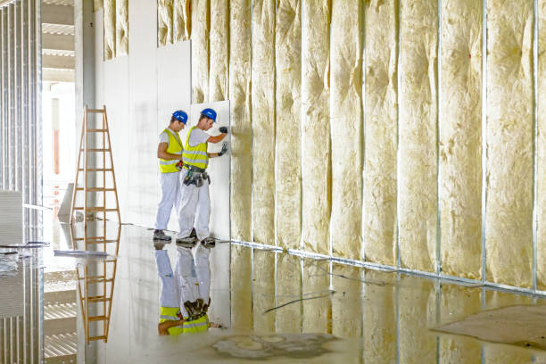 Best Spray Foam Insulation  in Republic, MO